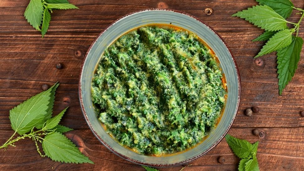 Mâncare de urzici frecate cu mălai. Urzici muntenești