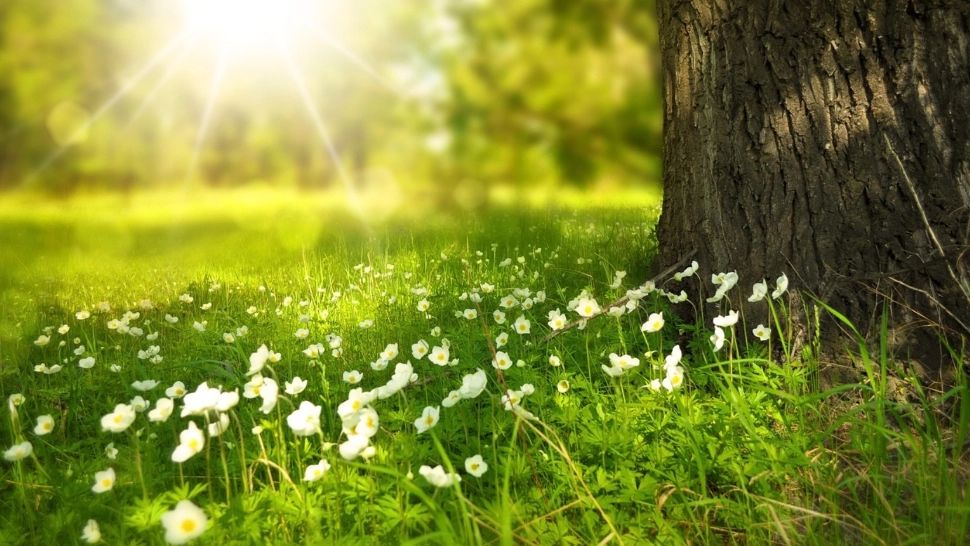 Europa se încălzește brusc: un „dom de aer cald” aduce temperaturi de primăvară în plină iarnă