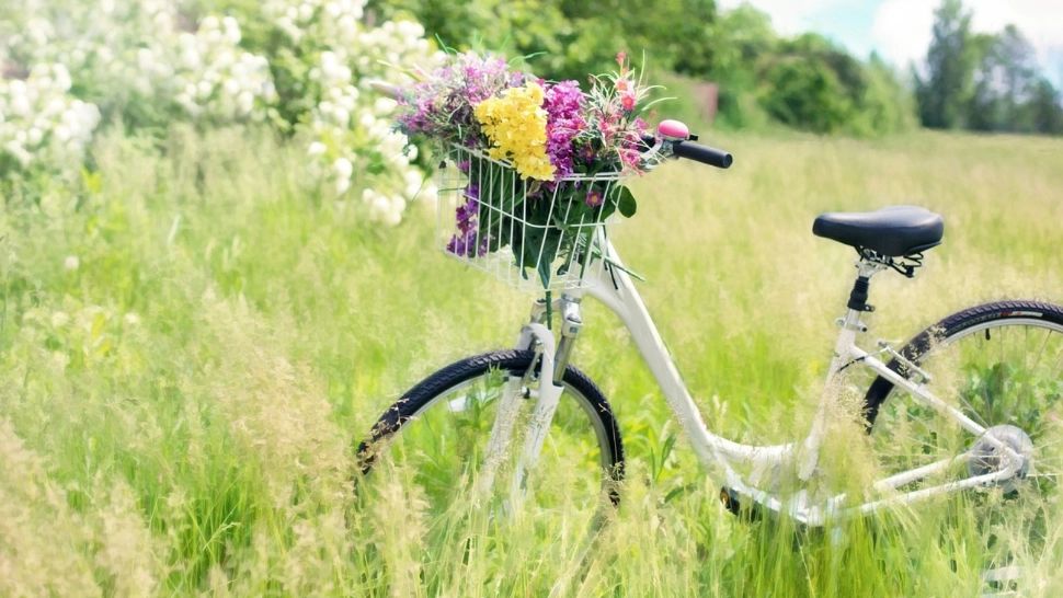 Prognoză meteo specială București. Se încălzește treptat, în Capitală. Temperaturi apropiate de cele înregistrate vara