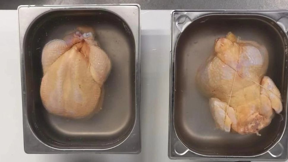 Bomba din hipermarketurile românești: pui îngălbeniți, împănați cu tulpini de sallmonela periculoase