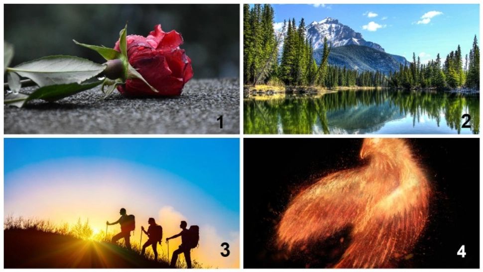 Testul lui Samson: Alege o imagine pentru a afla în ce stă ascunsă puterea ta