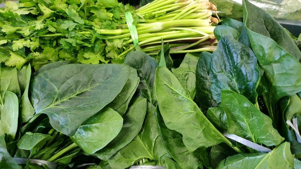 "Verdețurile" pe care trebuie să le incluzi neaparat în alimentația ta în această primăvară. Sunt sănătate curată