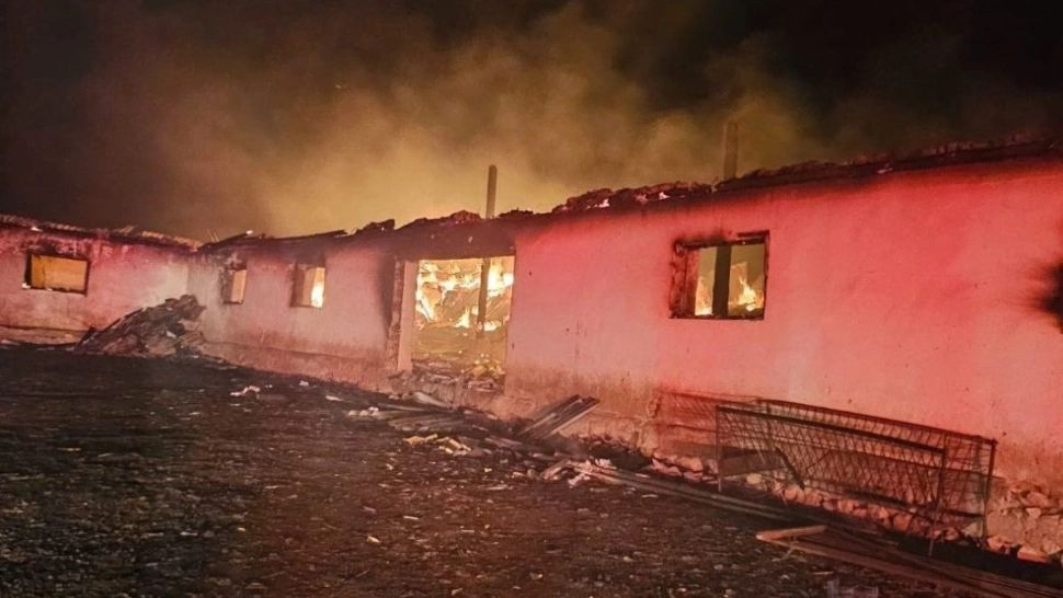 200 de oi au murit într-un incendiu devastator care a distrus un saivan din județul Constanța - FOTO