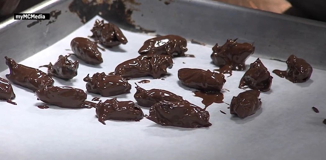 Consumul de insecte se răspândește în întreaga lume. Statele care au "îmbrățișat" acest trend: care sunt cele mai inedite combinații