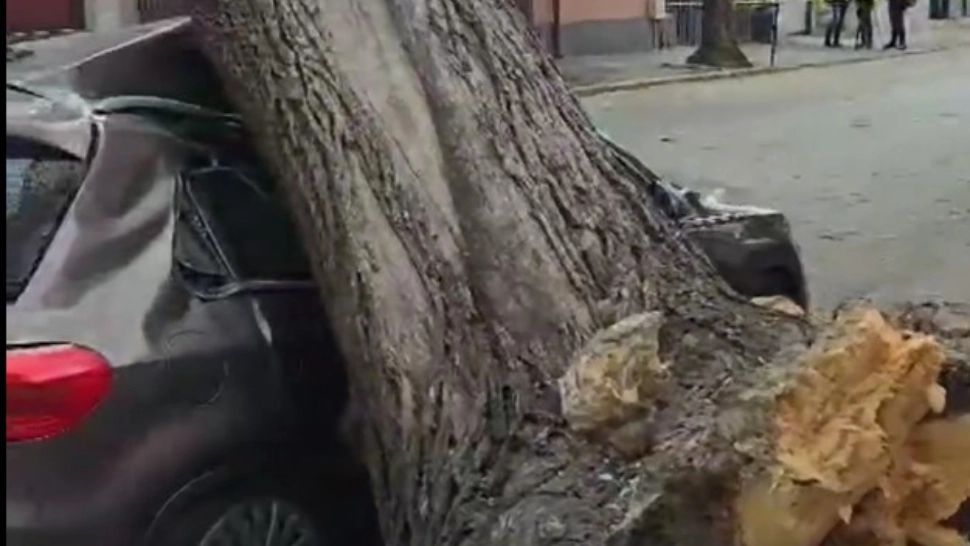 Vânt puternic în București: 288 de intervenții ale ISU! Aproape 100 de mașini avariate, o persoană RĂNITĂ