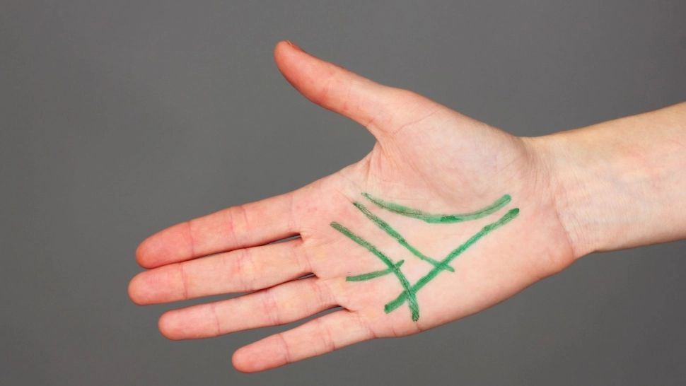  Cum recunoști linia copiilor în palmă. Îți spune câți copii vei avea 