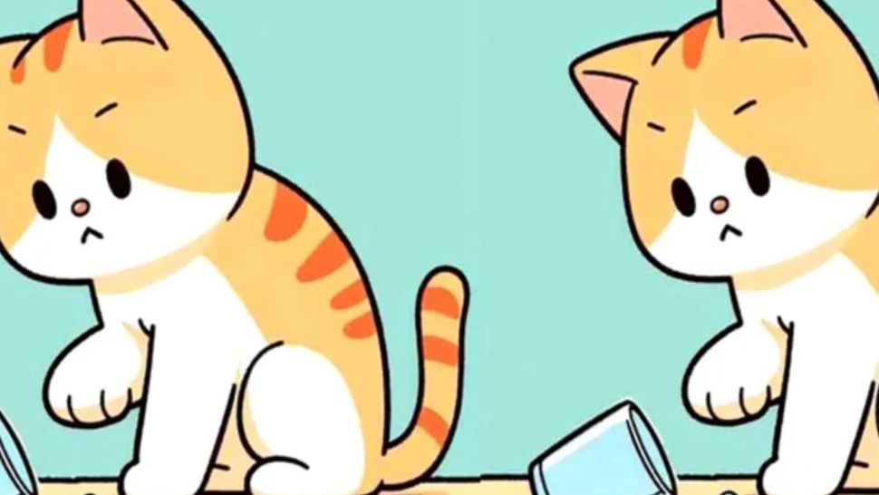 Test IQ pentru genii. Câte diferențe există între cele două pisici