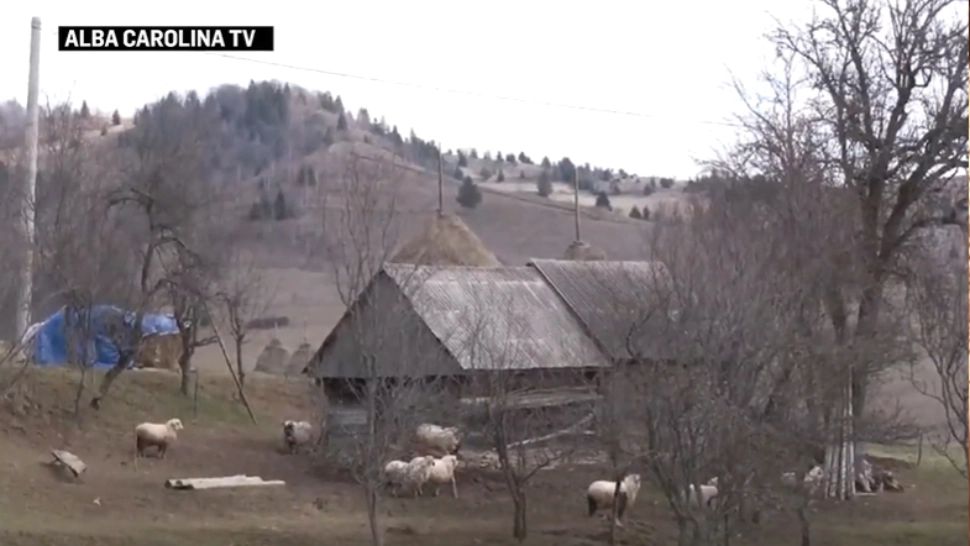 Satul din România cu doar 7 locuitori. Semnal de alarmă disperat al localnicilor: Ne mănâncă sălbăticiunile în scurtă vreme