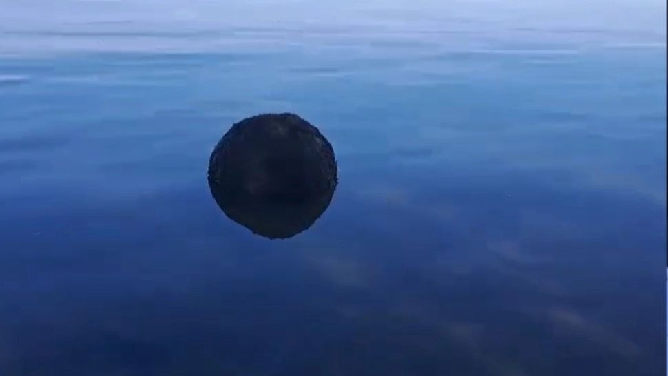 Alertă în Deltă! Posibilă mină marină, găsită pe brațul Chilia Veche. A fost activată echipa pirotehnică a ISU Tulcea - FOTO