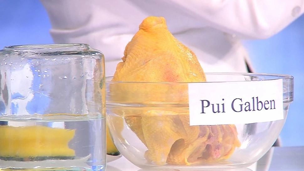 Nu știm ce mâncăm! România testează o probă pentru 200 de tone de carne de pui: raport cu concluzii îngrijorătoare 