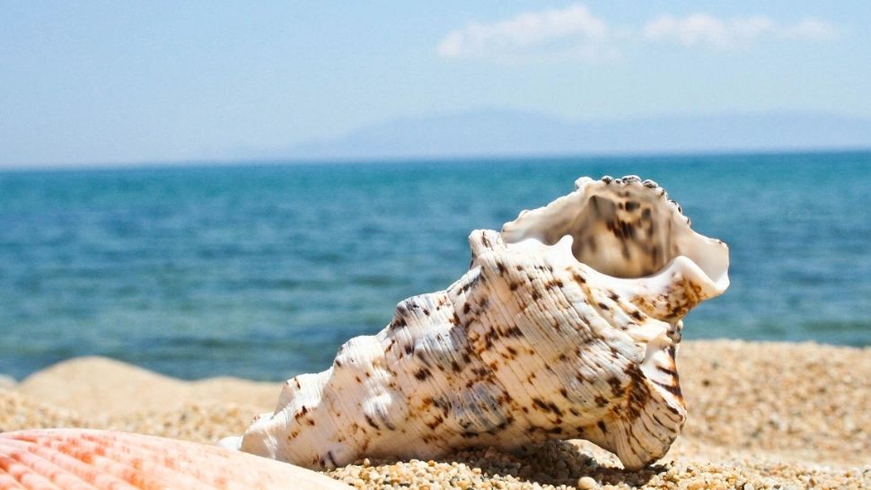 Vremea, 6 mai: Cresc temperaturile în toată țara. În ce zonă se vor înregistra chiar și 28 de grade Celsius