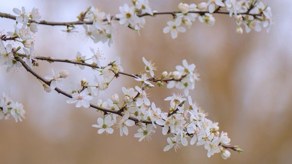 Prognoza meteo pe o lună. Cum va fi vremea până pe 13 mai 2024 și de când cresc temperaturile