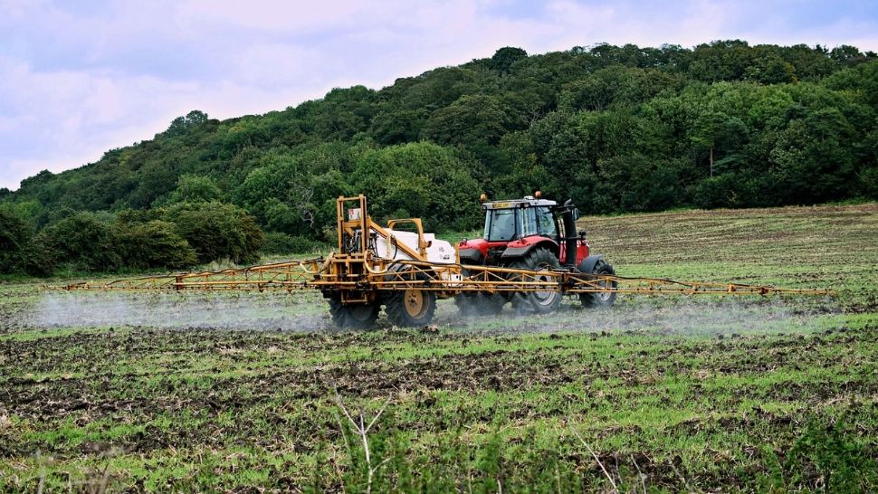 Legume și fructe care au reziduuri de pesticide cu valori peste limita maximă admisă, în piețele din România. Avertisment pentru cumpărători 