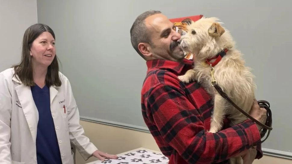 Povestea incredibilă a unei cățelușe dispărute din California, regăsită la 3.770 de kilometri de casă