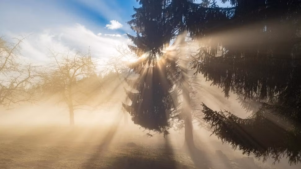 Cod galben de fenomene periculoase imediate. HARTA cu cele mai afectate zone