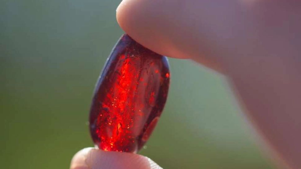 Vânătorii de comori au deschis sezonul săpăturilor după chihlimbar în comuna buzoiană Colți