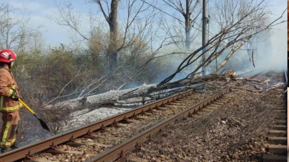 Trafic feroviar blocat complet. A izbucnit un incendiu, după ce mai mulți copaci au căzut peste linia de contact și peste șine