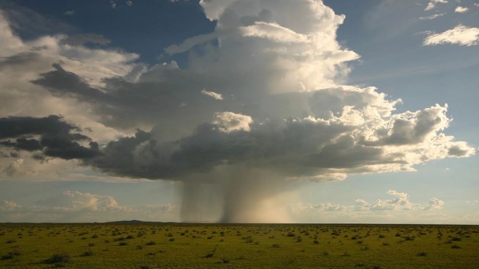 Cod galben de fenomene periculoase în vestul țării: județul măturat de vijelii puternice - HARTA