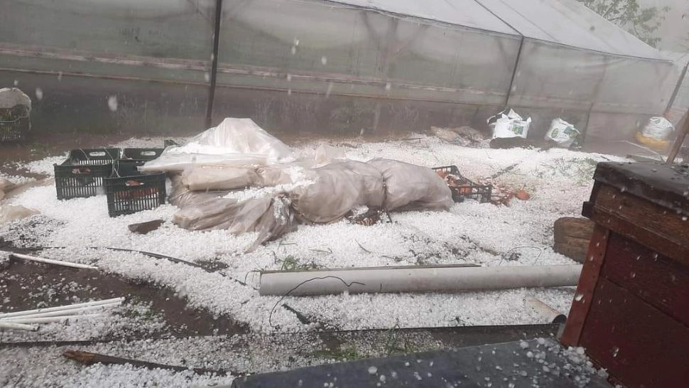 Furtună DEVASTATOARE, în județele Constanța și Tulcea. ISU a emis avertizare RO-Alert. Gospodării distruse de grindină cât mingea de tenis FOTO+VIDEO