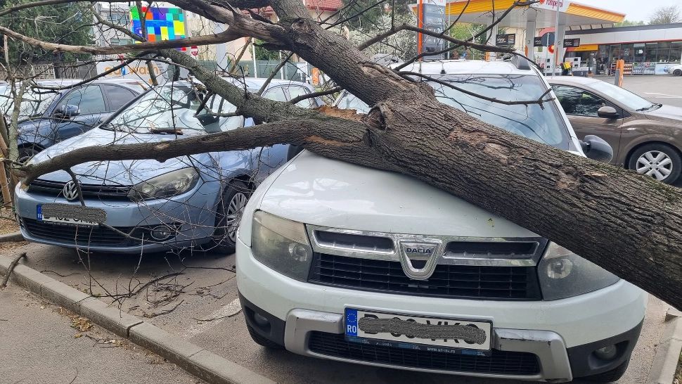 Atenție, cad copaci în București! Alertă emisă de ISU, este cod PORTOCALIU de vânt - FOTO