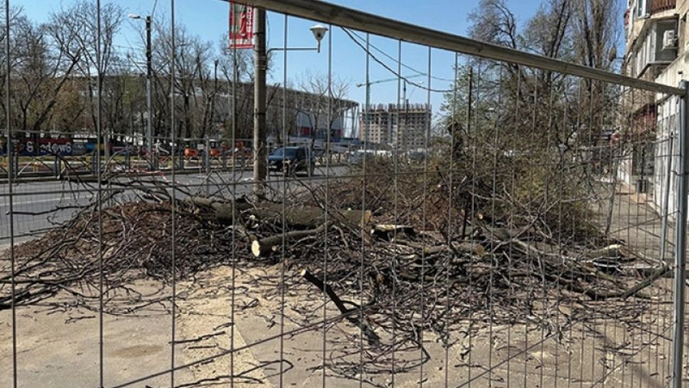Imagine inedită de pe un bulevard din Capitală. Toți copacii au dispărut peste noapte