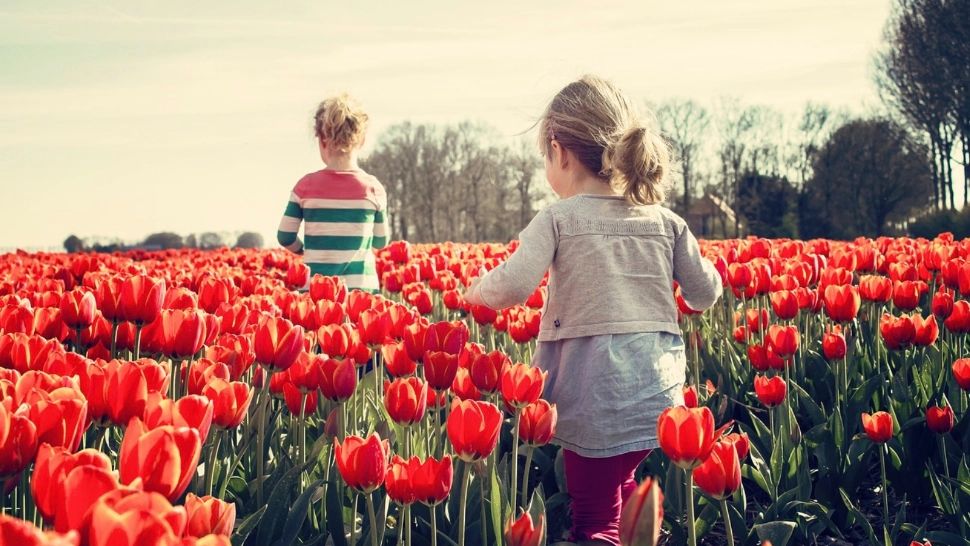 Prognoza meteo pe o lună: schimbări radicale până pe 20 mai. ANM anunță temperaturi nefirești 