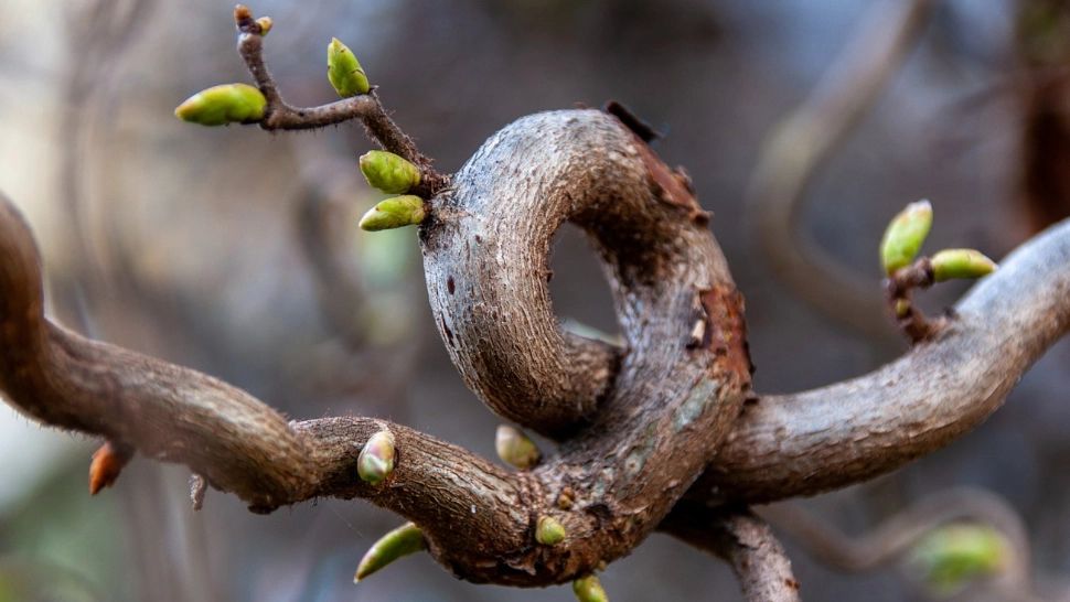 Prognoza meteo 12 aprilie. Temperaturi de vară, dar și ploi. Zonele afectate de vânt puternic