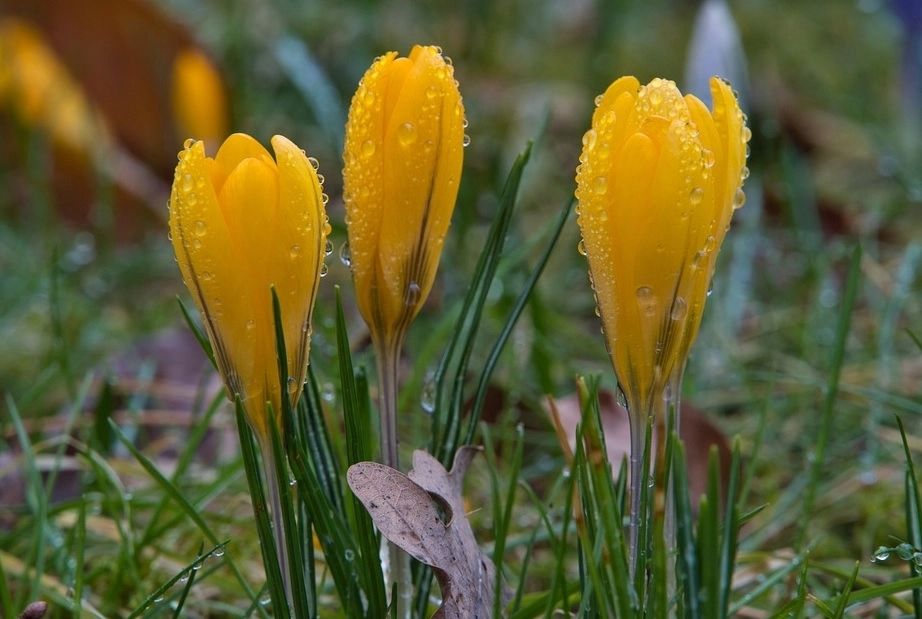 Prognoza meteo 19 aprilie. Vremea se răcește accentuat: ninsori puternice și ploi torențiale