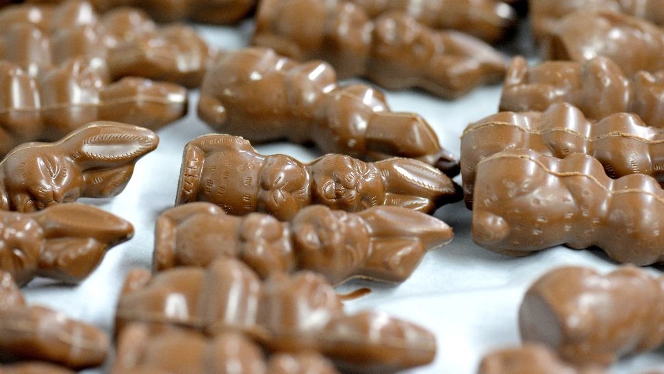 Cât poluează un baton de ciocolată? Dacă raportezi la o factură de întreținere, te iei cu mâinile de cap