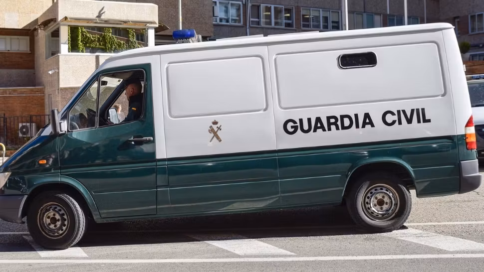 Record pentru doi români din Spania. Au fost prinși furând aproape o tonă de măsline