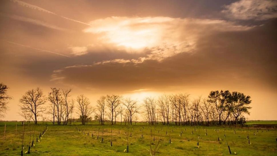 Fenoment STRANIU pe cerul României, din cauza prafului saharian. Imagini desprinse parcă din filme SF - FOTO GALERIE