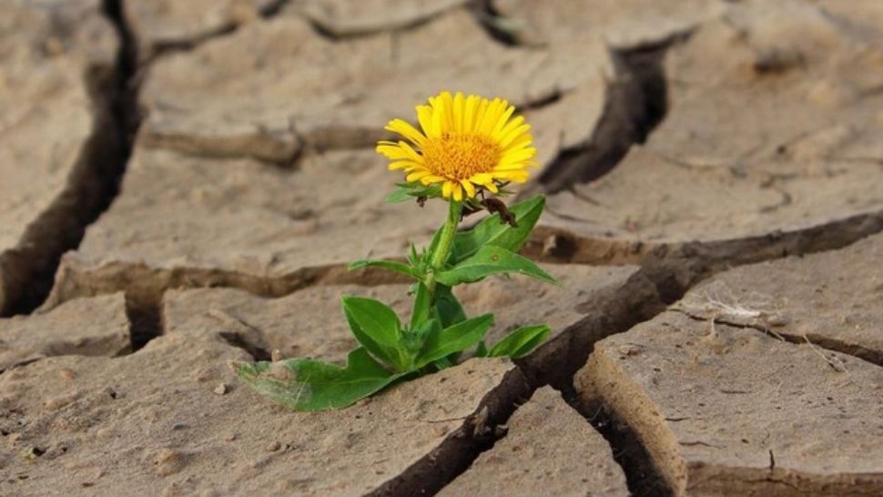 Alertă mondială: temperaturi mai mari în Europa decât în Sahara