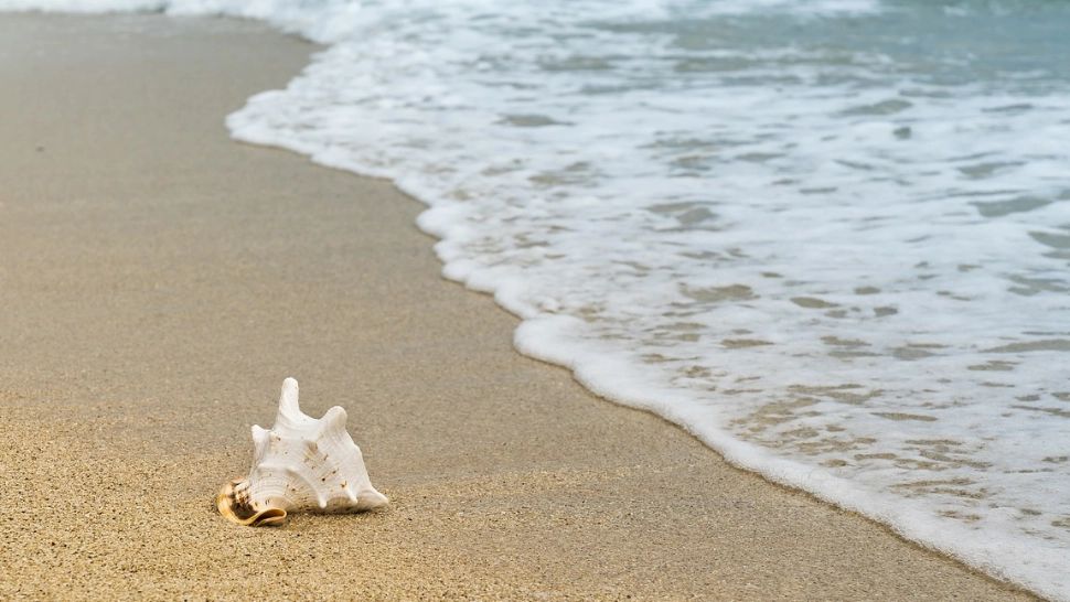 Noua taxă pentru turiștii de pe litoralul românesc. Tot ce trebuie să știe românii care aleg Eforie, Mangalia sau Saturn