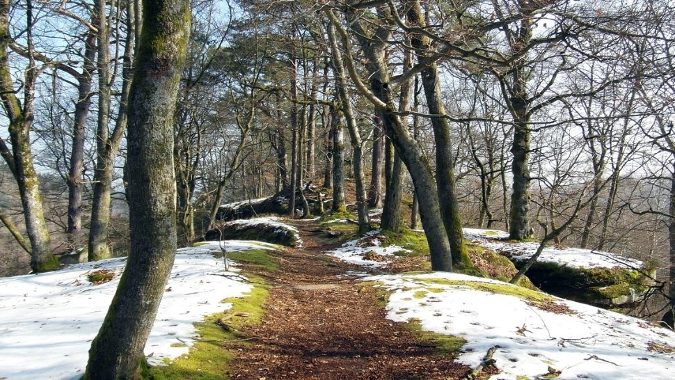 Vremea se schimbă radical: unde va ninge ca în povești în luna aprilie. Temperaturile maxime abia vor atinge 15 grade