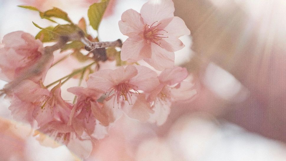 Prognoza meteo pe o lună: schimbări radicale anunțate de meteorologi. Cum va fi vremea până pe 27 mai 