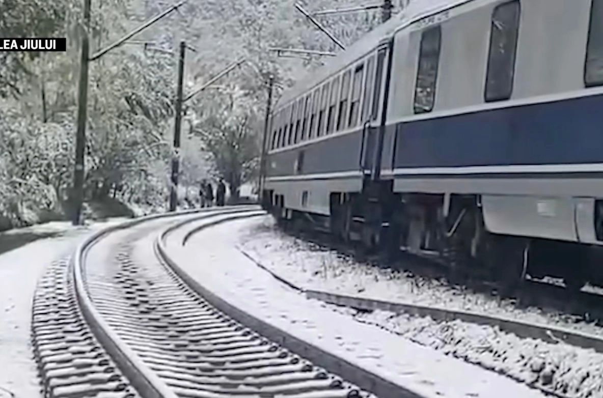 Iarna a revenit în forță, după temperaturi de 30 de grade! Copac doborât pe șine din cauza zăpezii, oameni blocați în tren