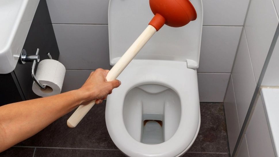 Trucuri din gospodărie. De ce mulți oameni pun sare în vasul de toaletă