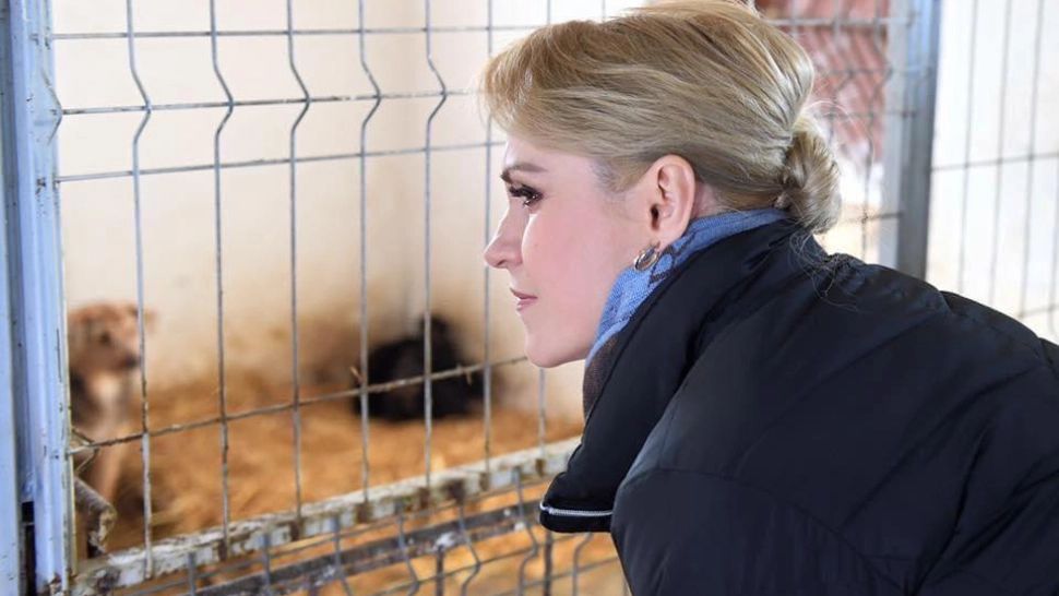 Gabriela Firea: Voi continua, după 9 iunie, proiectele de promovare a adopţiilor din adăposturile ASPA. Planurile candidatei la Capitală