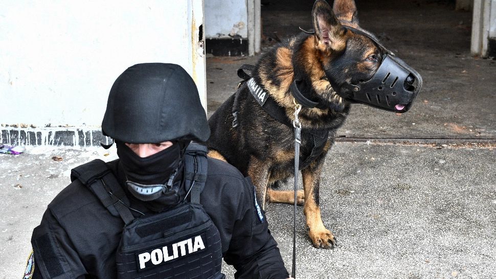 Gemeni sechestrați de tatăl violent, după ce le-a agresat mama: intervenție în forță a mascaților, în Sectorul 5