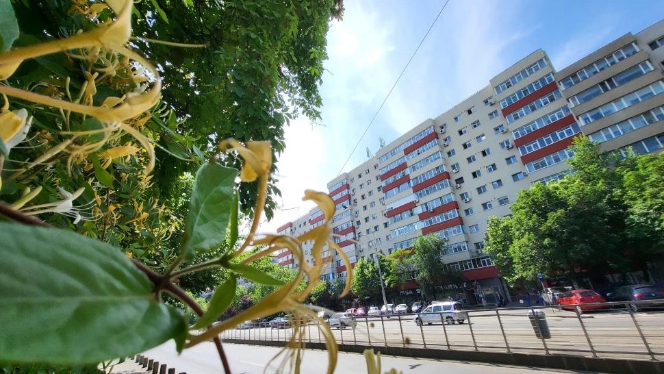 Gardurile verzi din sectorul 4 s-au transformat în adevărate grădini pe verticală - FOTO