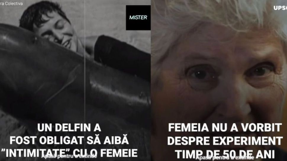 Femeia care a trăit o poveste de dragoste alături de un delfin. Experimentul NASA care s-a finalizat cu o sinucidere