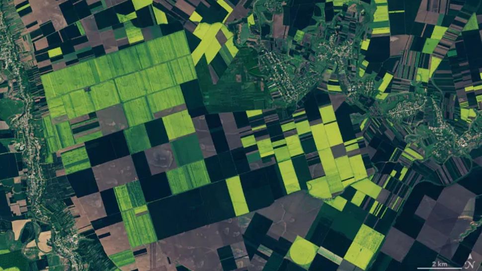 Lanurile de rapită ale României, vedete la NASA