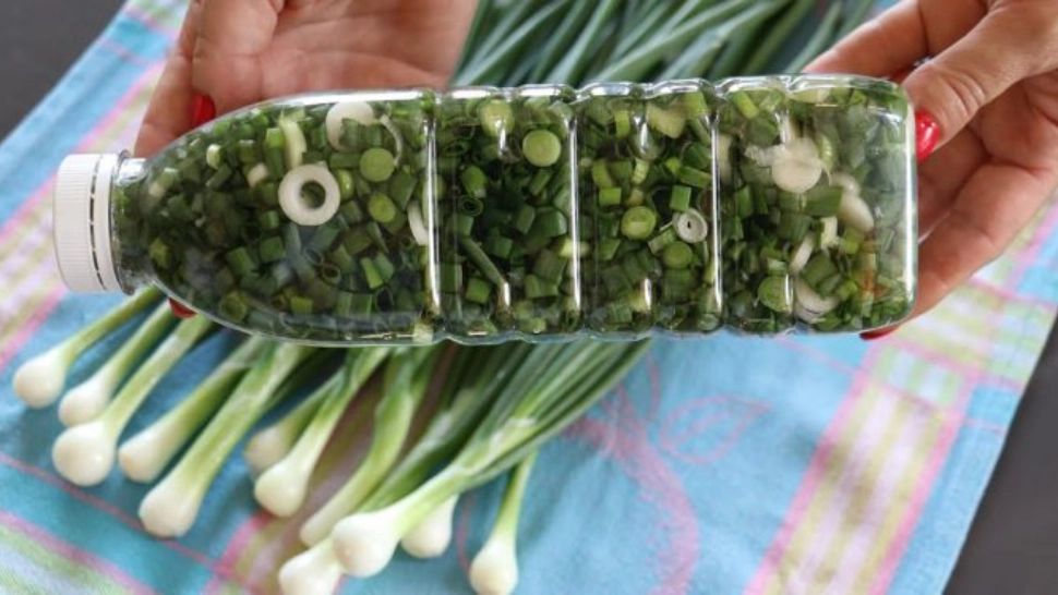 Ceapă verde la sticlă. Rețeta cu care nu dai greș pe timp de iarnă