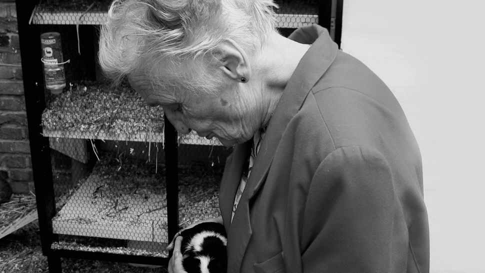 Noua lege a pensiilor îi lasă fără bani pe acești români. Categoria vizată