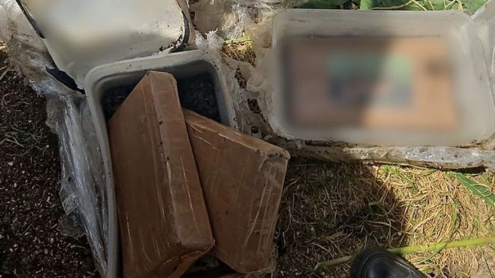 Captură uriașă, într-o localitate din Giurgiu. 14 kilograme de droguri, ascunse în curtea din spatele casei. Valoarea de piață ajunge la 1 milion de euro