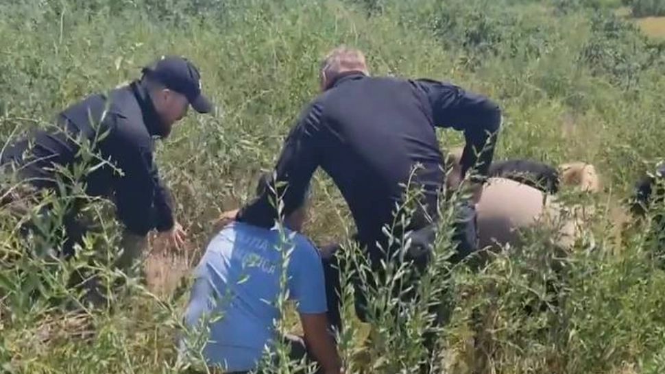 Raportul medicilor legiști în cazul crimei din Botoșani. Incredibil cum a fost ucisă copila de 8 ani de către unchiul său