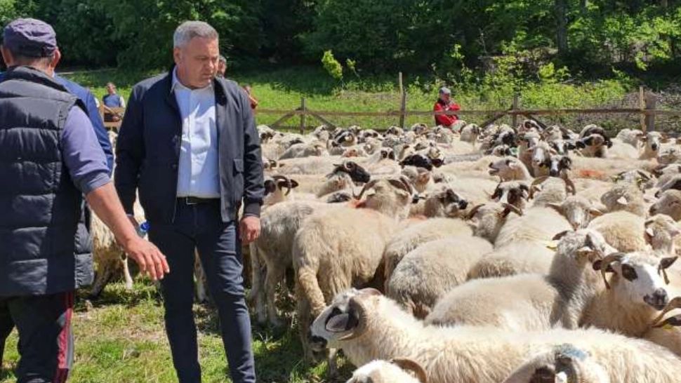 România asigură peste 20% din consumul din UE la carnea de oaie - Declarații făcute de Ministrul Agriculturii, la Sâmbra Oilor