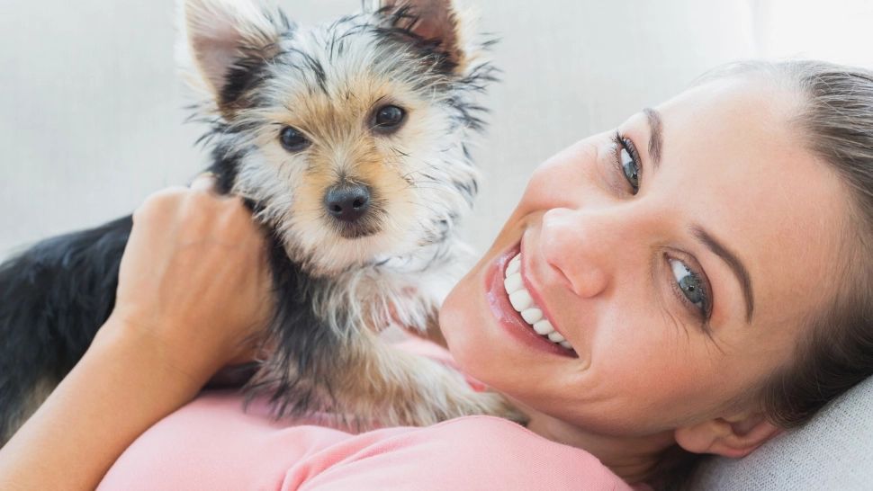 Cei mai longevivi câini. De ce trebuie să ții cont atunci când îți alegi un prieten blănos: detaliile care fac diferența