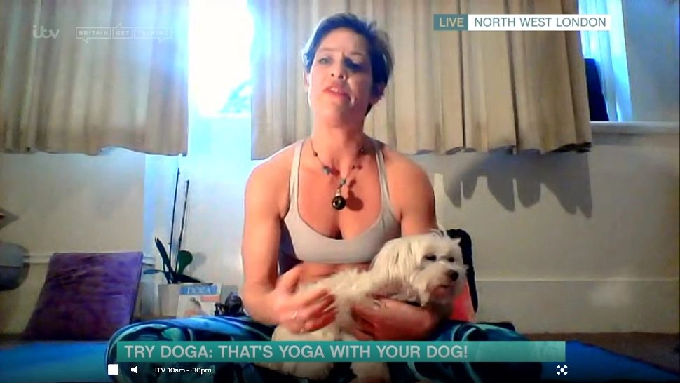 Yoga cu căței, interzisă în Italia."Doga" este tot mai populară, inclusiv în România