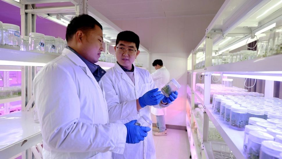 Un nou virus mortal creat în laboratoarle din China poate ucide „în doar trei zile”